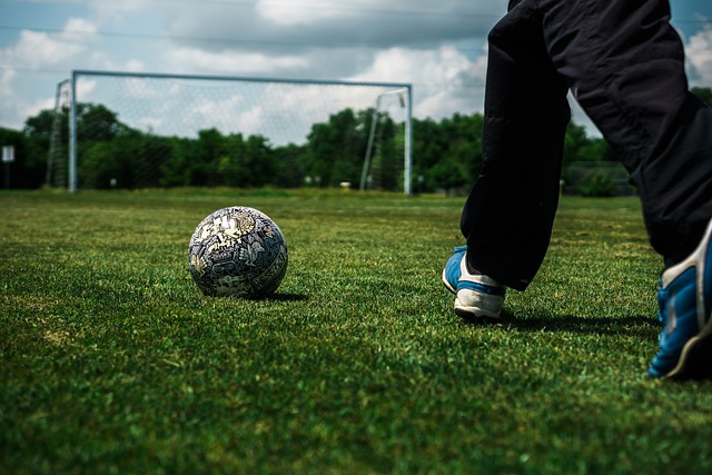 晰地理解他 晰地理解他