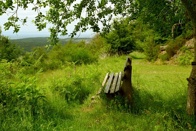 星一度成为 星一度成为