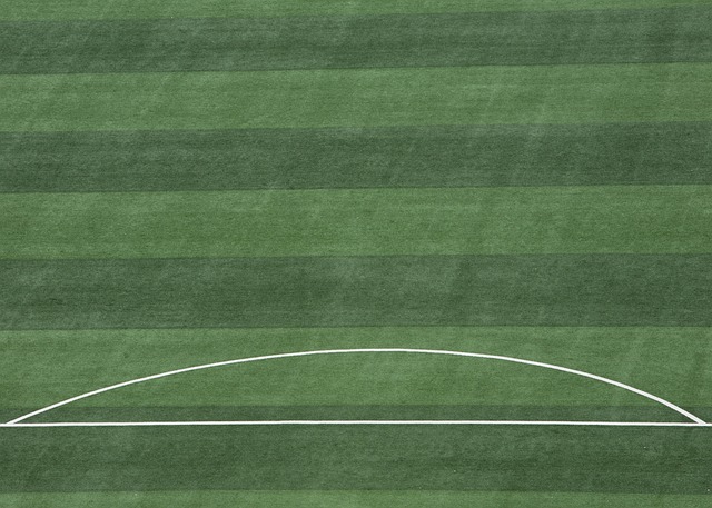 被寄予厚望 被寄予厚望