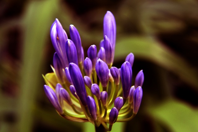 与瓜迪奥拉 与瓜迪奥拉