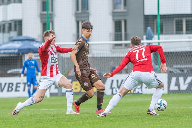 总的来说 总的来说