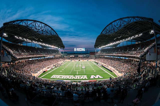 对他们未来 对他们未来