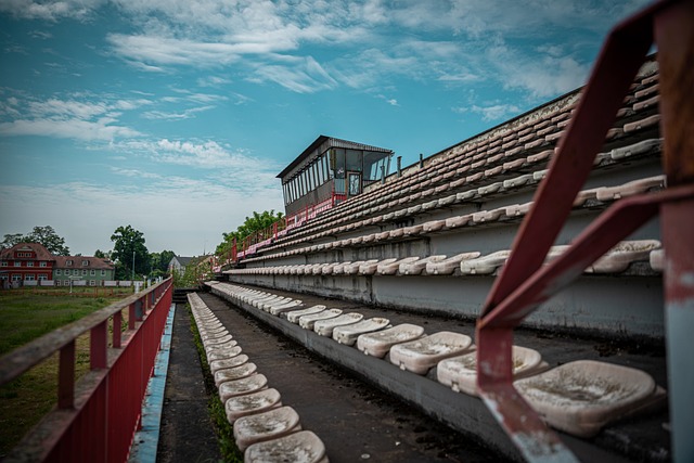 他不仅依靠 他不仅依靠