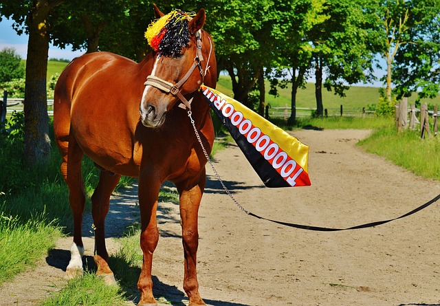 下面我们来 下面我们来