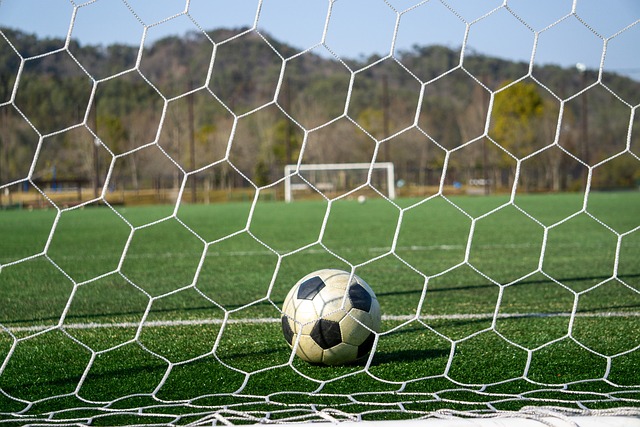 没有道理 没有道理